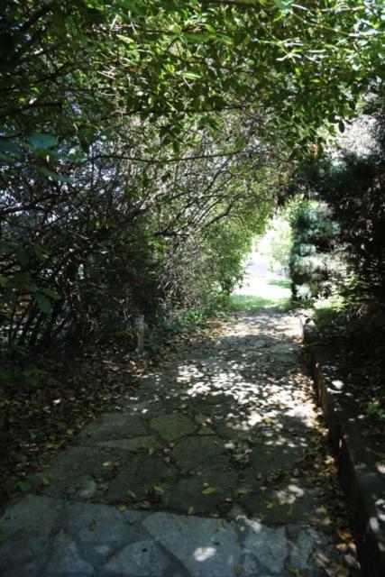 A L'Oree Des Cevennes エグルモン エクステリア 写真